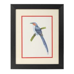 Miniature birds With Frame Image 1